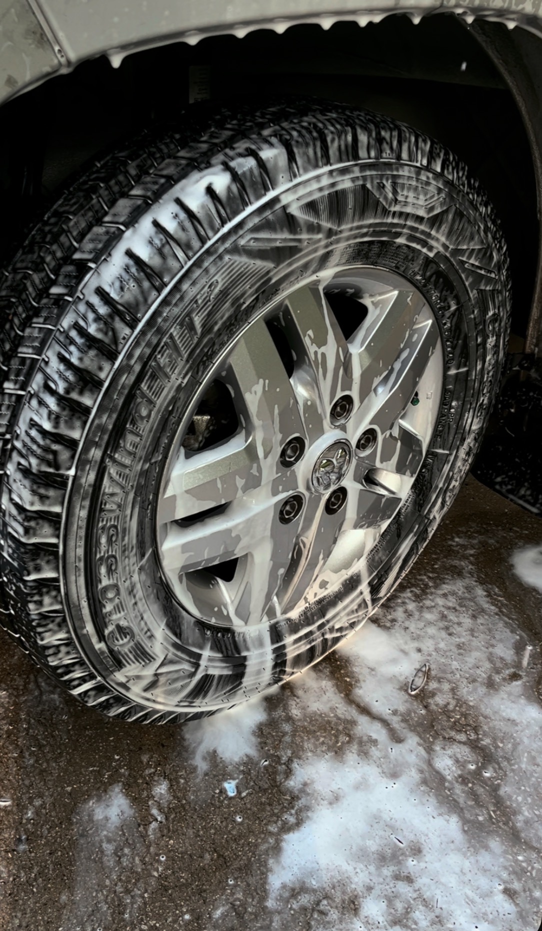 Wheel Detail